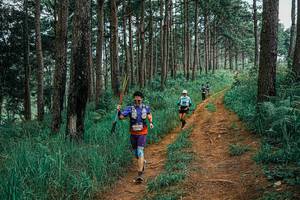 BIB: 
                            <button type="button" onclick="openModal(25659965)" class="btn btn-primary btn-sm float-right btn-popup" data-toggle="modal" data-target=".modal-high-quality">
                        <i class="fas fa-shopping-cart"></i> Add to Cart
                    </button>
                                            <button type="button" onclick="isThisMe(25659965, true)" class="btn btn-success btn-sm float-right btn-popup btn-isme hidden" data-toggle="tooltip" data-placement="bottom" title="นี่คือรูปของคุณใช่ไหม คลิกที่นี่เพื่อเอาเข้าอัลบั้ม">
                        <i class="fas fa-plus"></i> Add to album
                    </button>
                    <button type="button" onclick="isThisMe(25659965, false)" class="btn btn-warning btn-sm float-right btn-popup btn-isnotme hidden">
                        <i class="fas fa-ban"></i> Remove from album
                    </button>